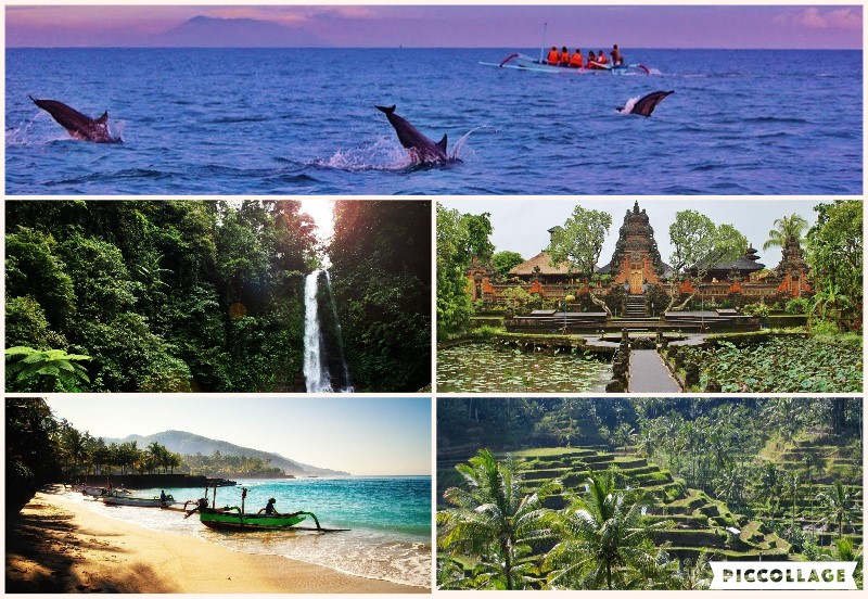 Bali in 1